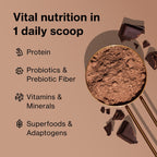 Shakeology Whey Protein Powder Blend Gluten Free Superfood

