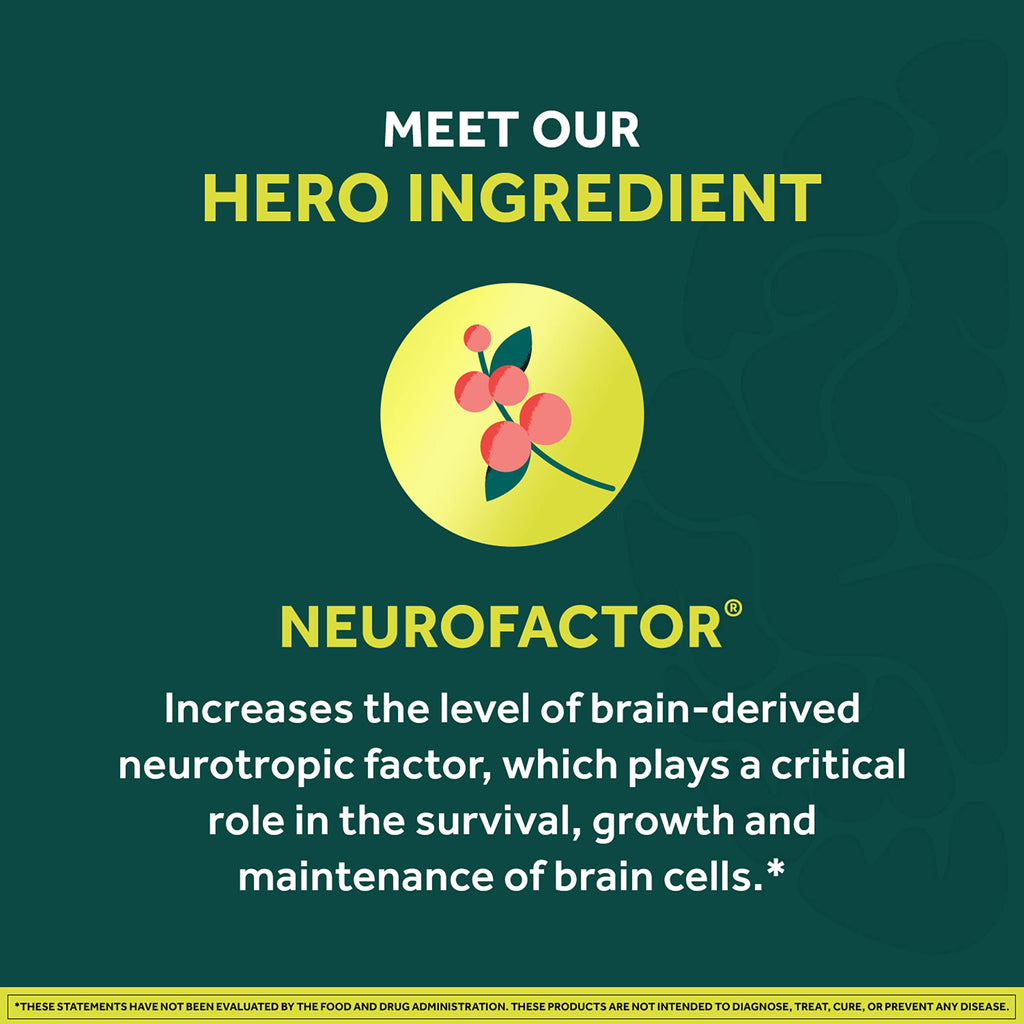 Neuriva Brain + Energy Gummies for Focus | Neurofactor


