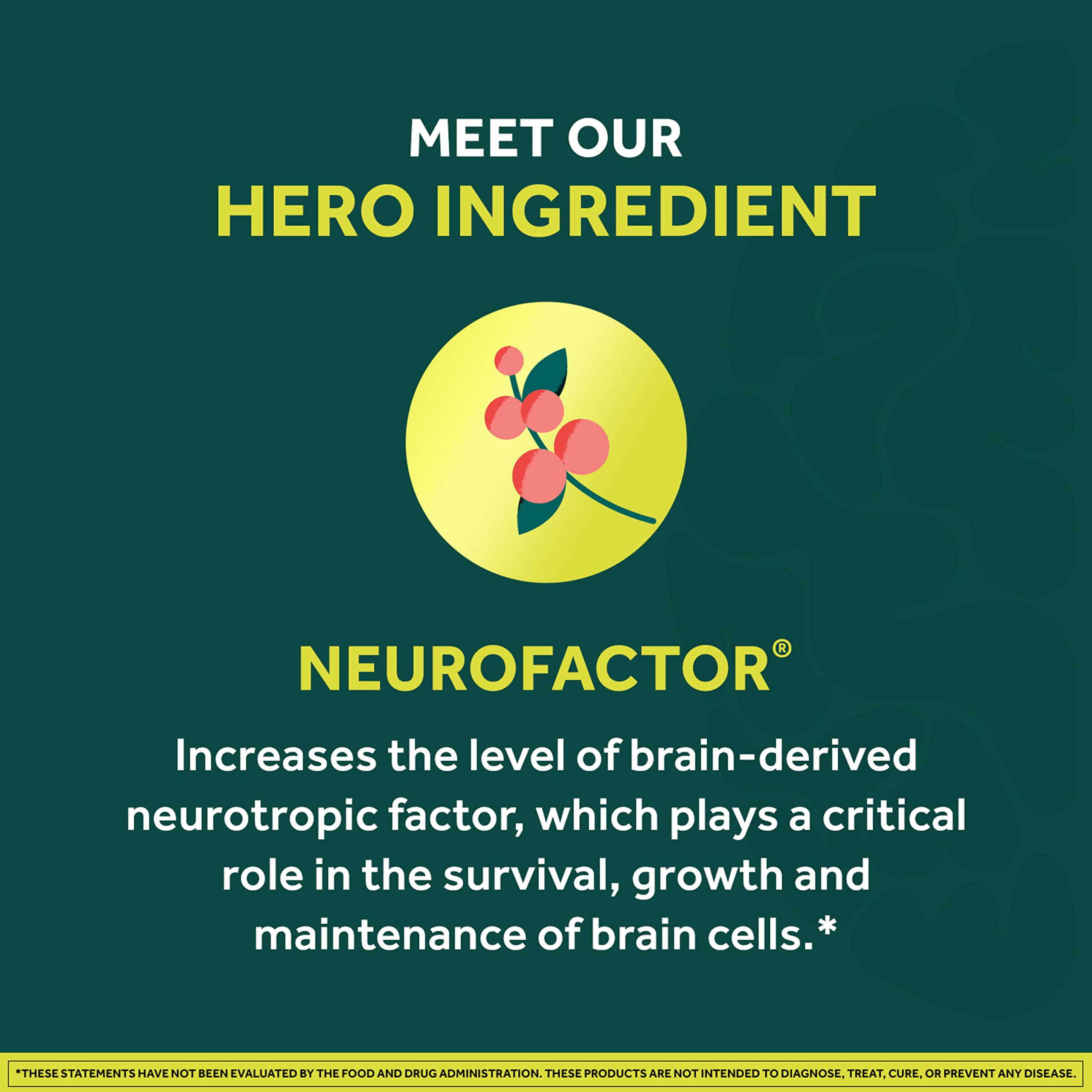 Neuriva Brain + Energy Gummies for Focus | Neurofactor

