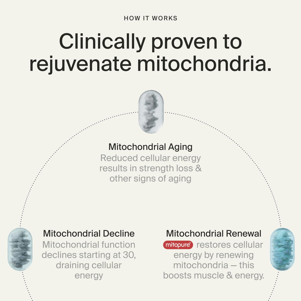 Timeline Mitopure Urolithin A Softgels | Cellular Health

