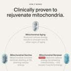 Timeline Mitopure Urolithin A Supplement | Cellular Health

