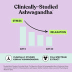 Lemme Chill Stress Relief Gummies with KSM-66 Ashwagandha

