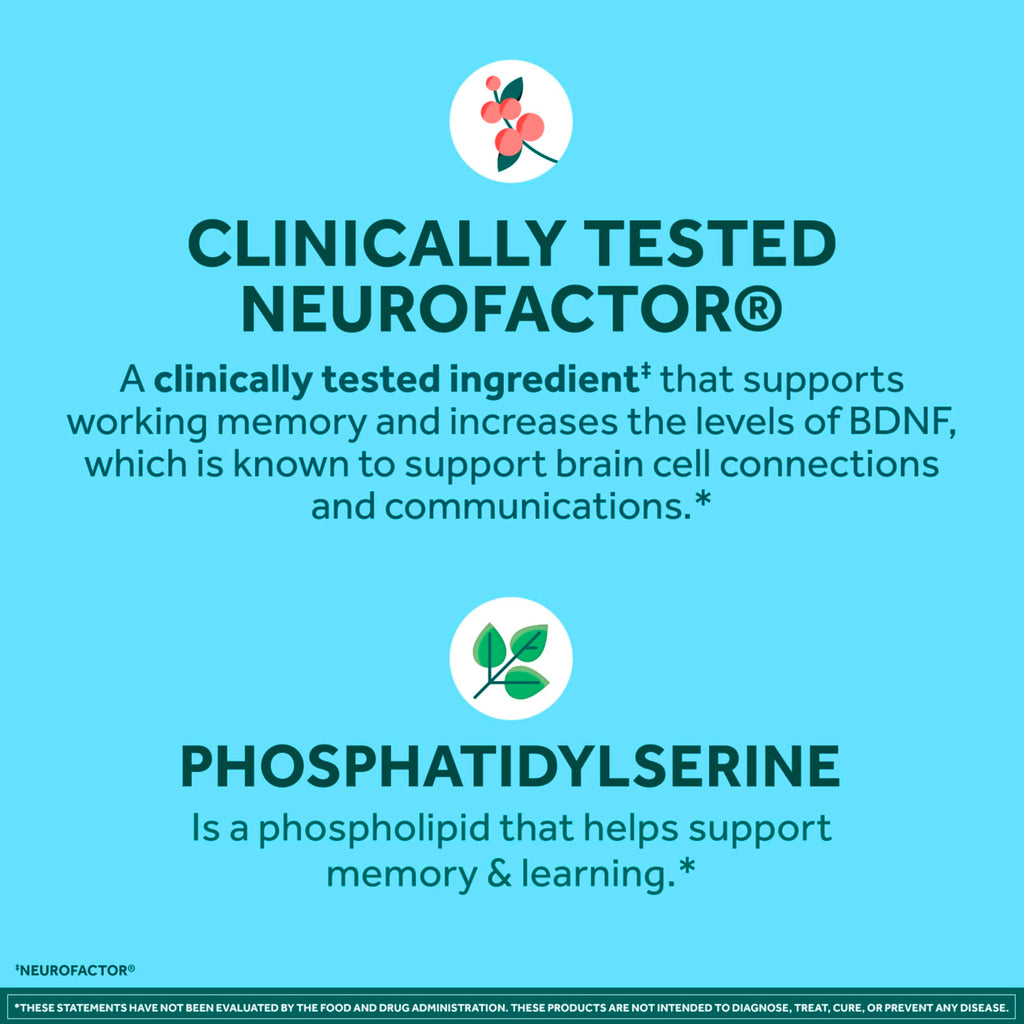 Neuriva Brain Support for Memory & Focus with Neurofactor

