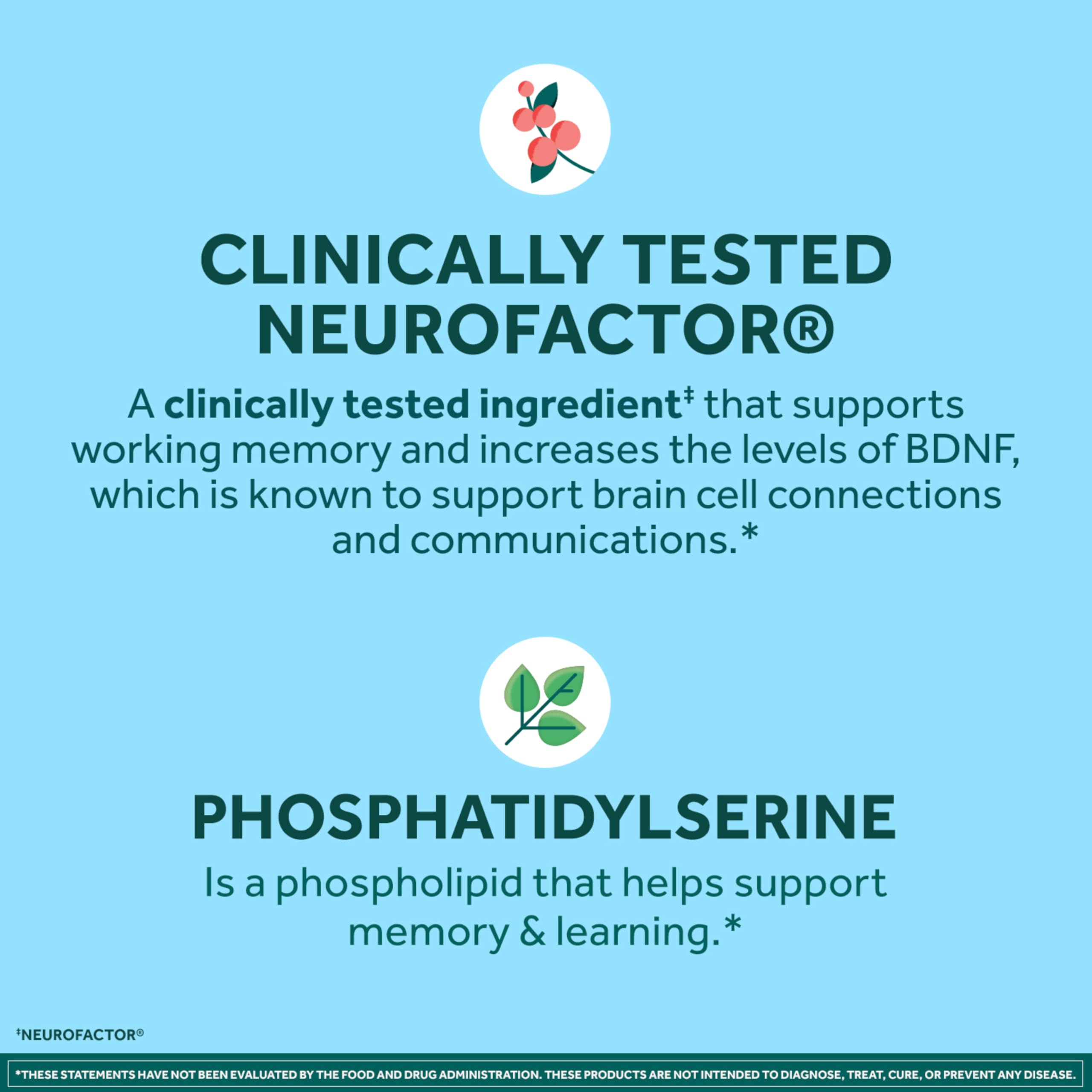 Neuriva Brain Support for Memory & Focus with Neurofactor

