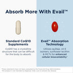 Designs for Health Dietary Supplement

