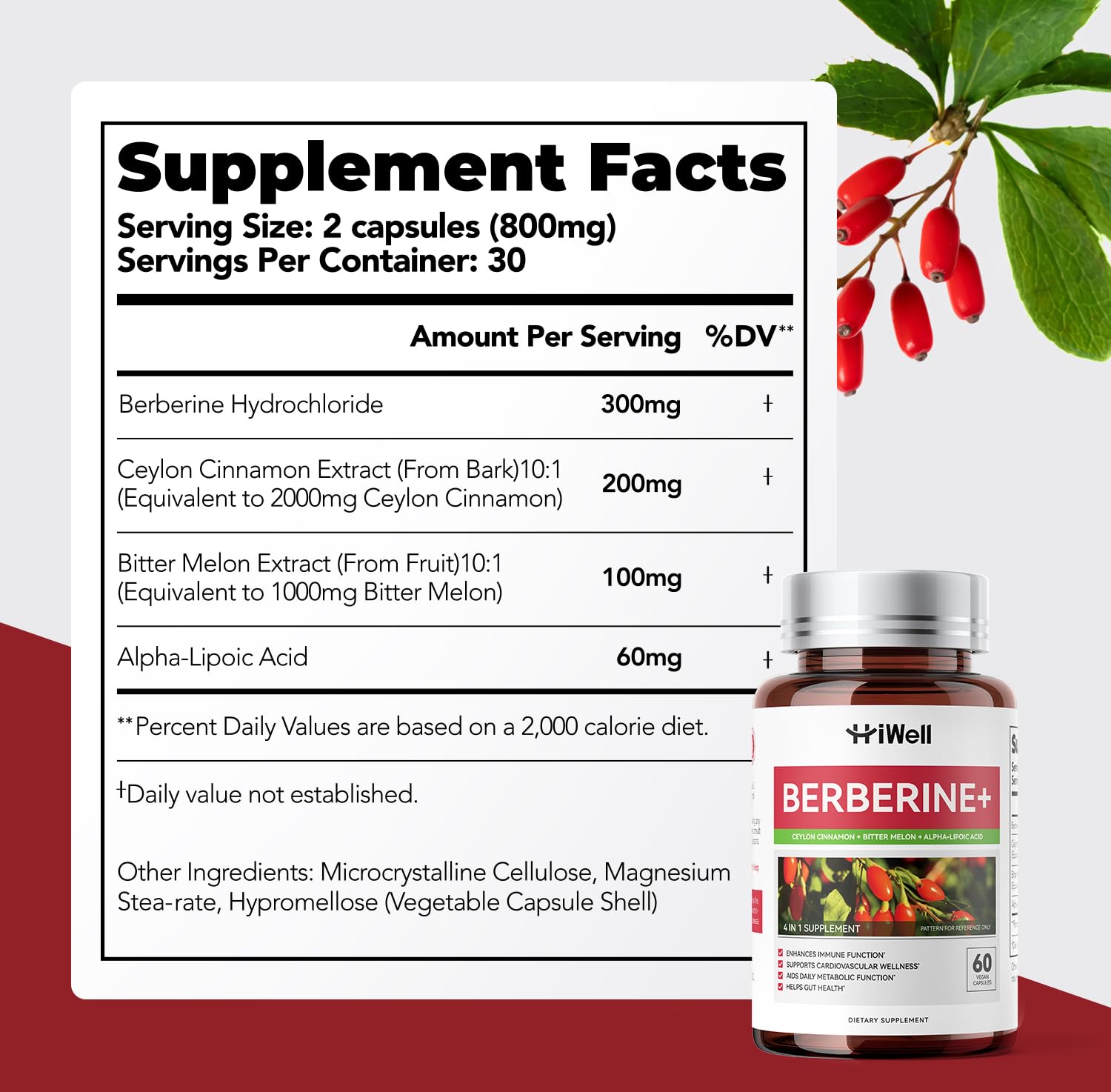 HiWell Metabolic Support Complex | Dietary Supplement

