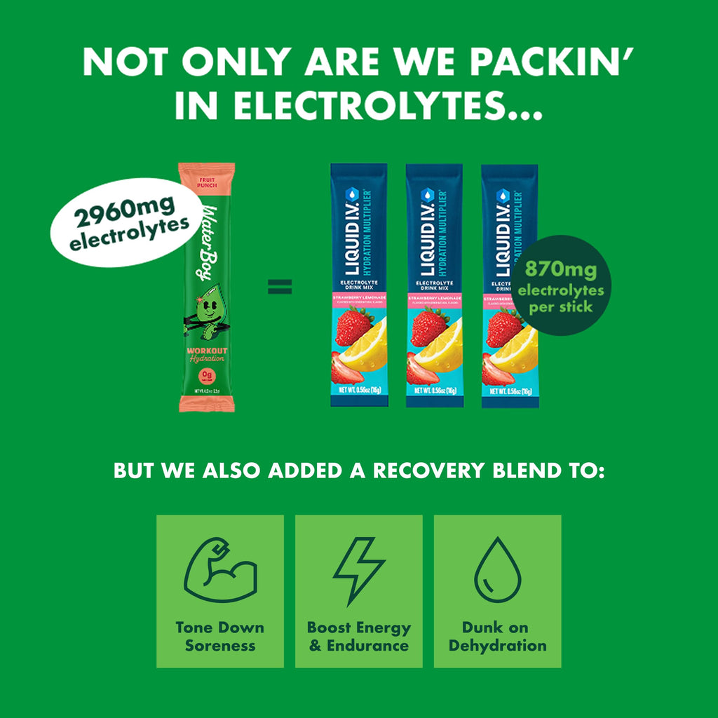 Waterboy Hydration Electrolyte Drink Mix - Sugar Free

