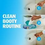 Charmin Flushable Wipes - Resealable, Portable


