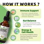 iMATCHME Soursop Graviola Liquid Drops for Immune Health

