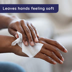 Wet Ones Antibacterial Hand Wipes with Aloe

