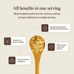 Real Mushrooms Lion's Mane Cognition Brain Support

