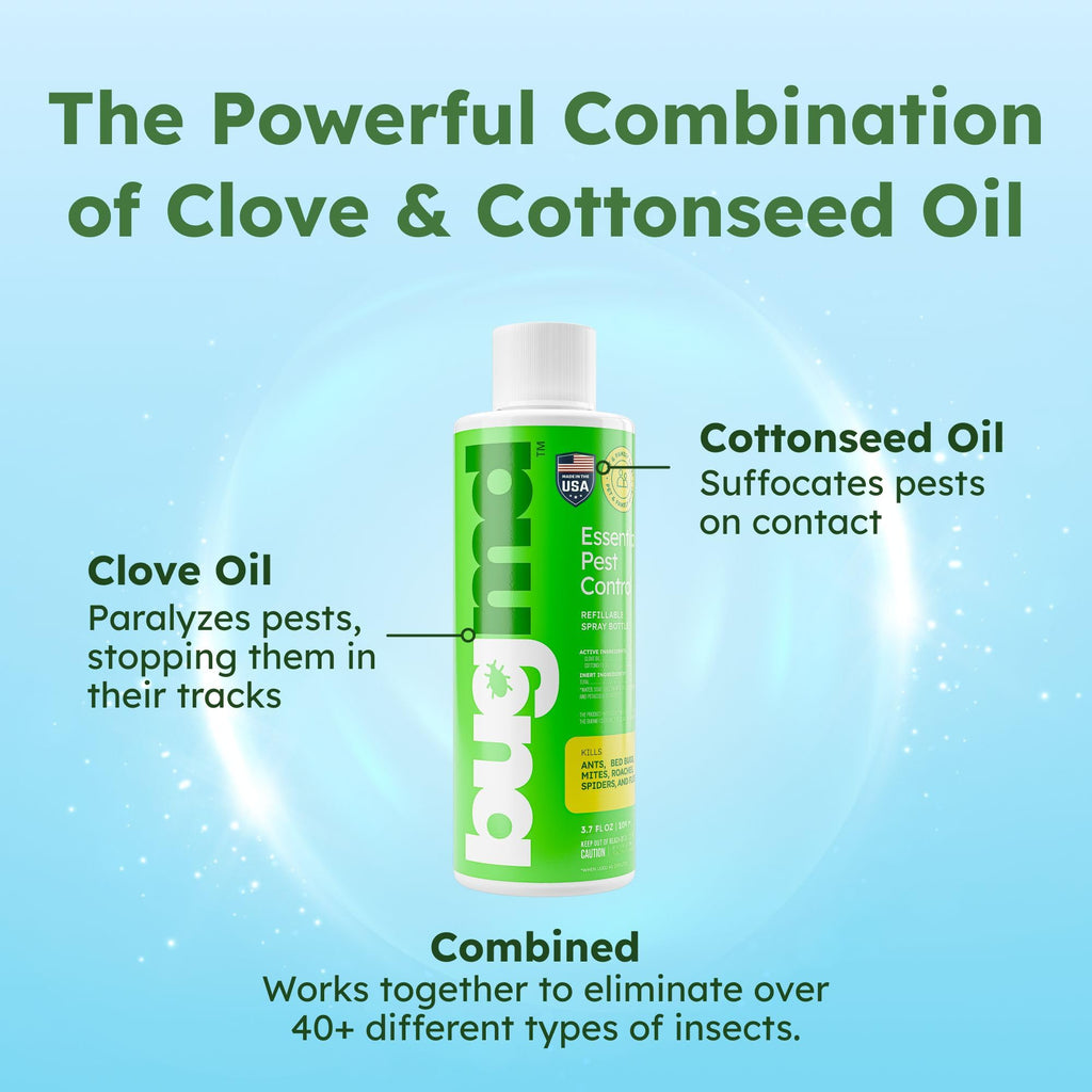 BugMD Pest Control Concentrate Spray|Fast Kill

