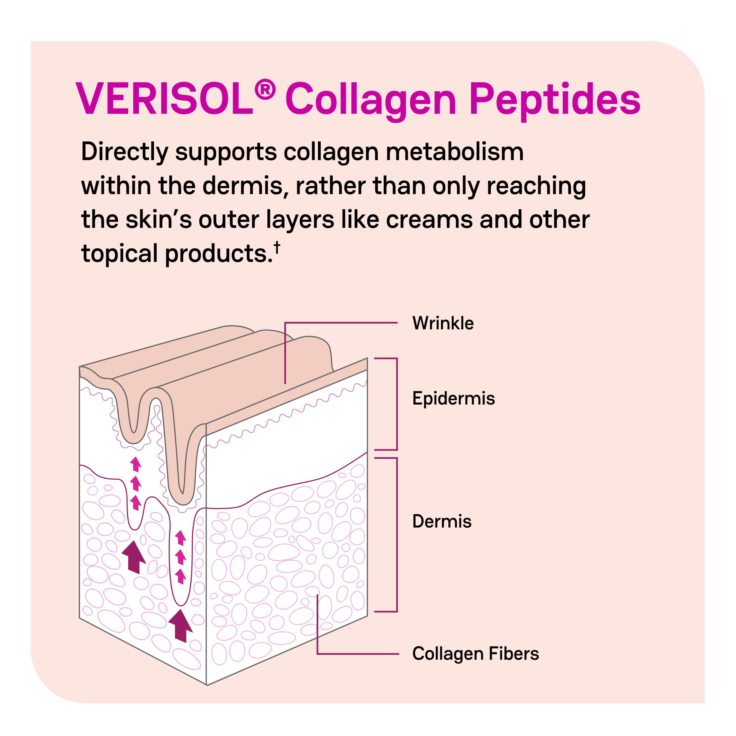 Zena Nutrition Premium Collagen for Women with Biotin

