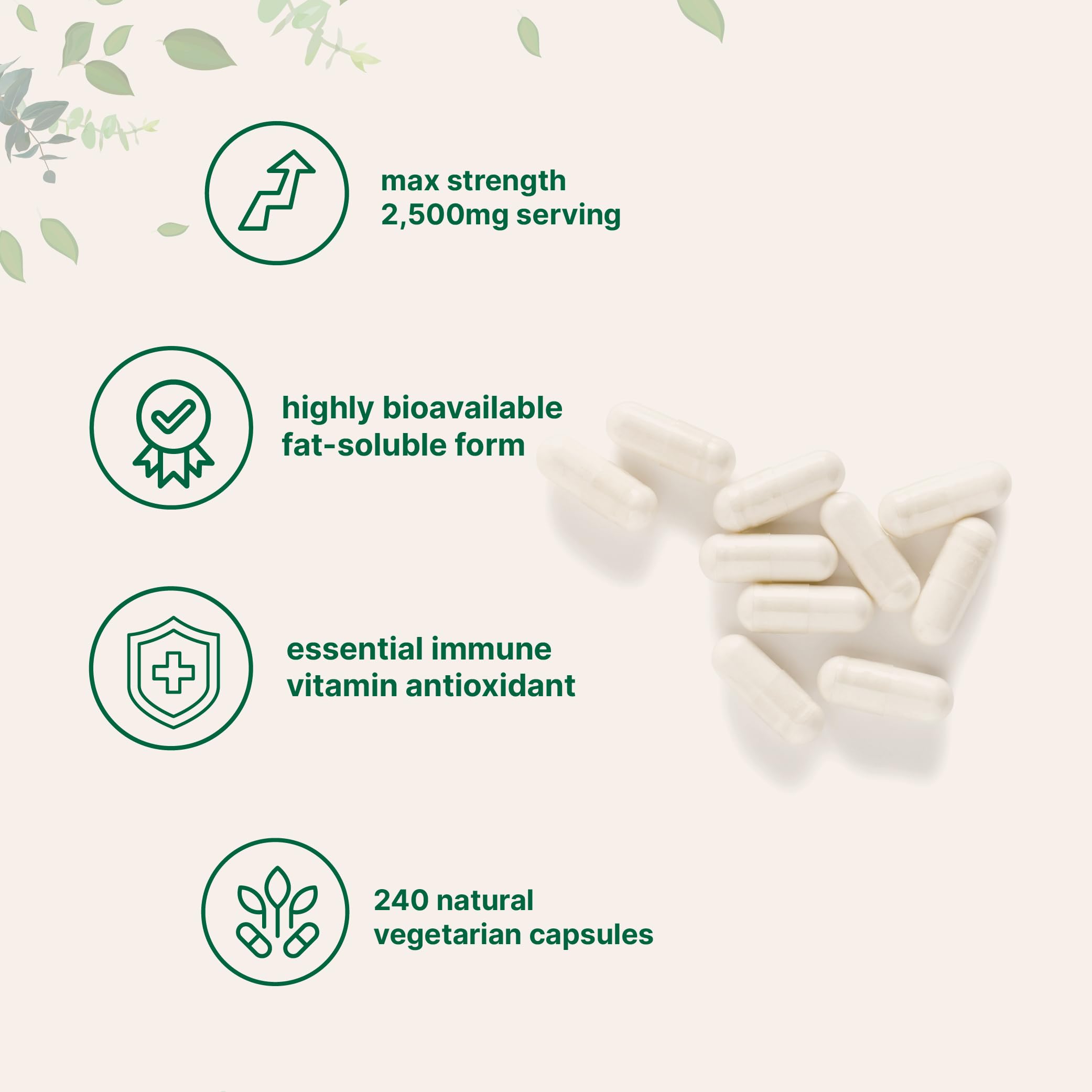 Micro Ingredients Liposomal Vitamin C - Immune Support


