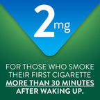 GoodSense Nicotine Polacrilex Lozenge

