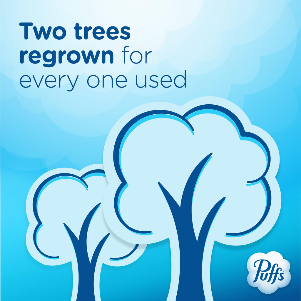 Puffs Plus Lotion Facial Tissues for Allergies

