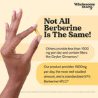 Wholesome Promise Berberine HCl 1500mg | Metabolic Support

