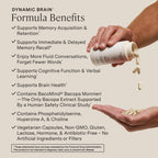 Stonehenge Health Dynamic Brain Nootropic with BacoMind

