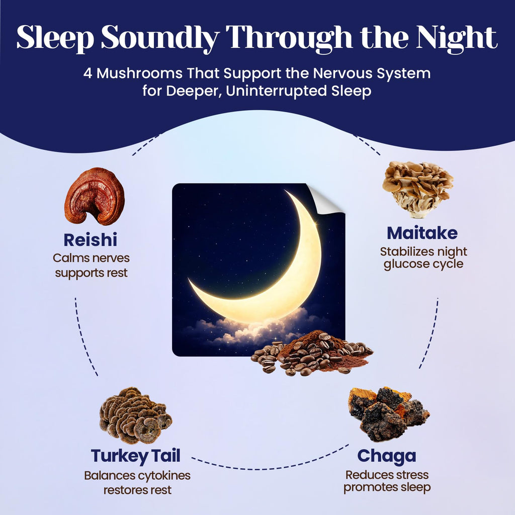 Mushroom Cocoa Sleep Aid | Moon Bedtime Brew

