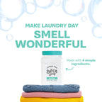 Plant Based Powder Laundry Detergent Buff City Soap

