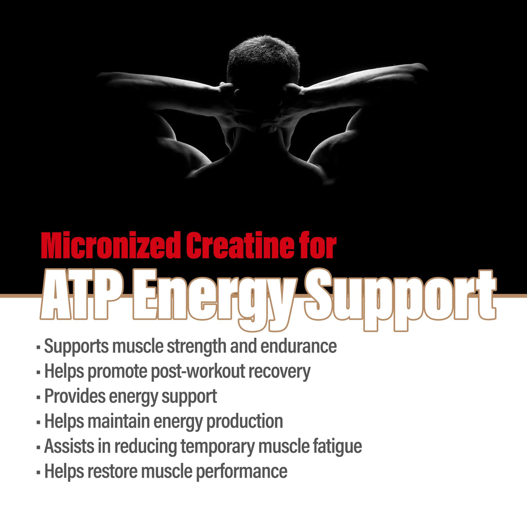 Creatine Monohydrate Powder Micronized | Unflavored & Vegan


