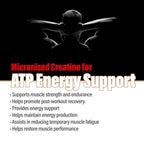 Creatine Monohydrate Powder Micronized | Unflavored & Vegan

