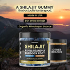Vitamax Shilajit Gummies – Mineral Wellness Formula

