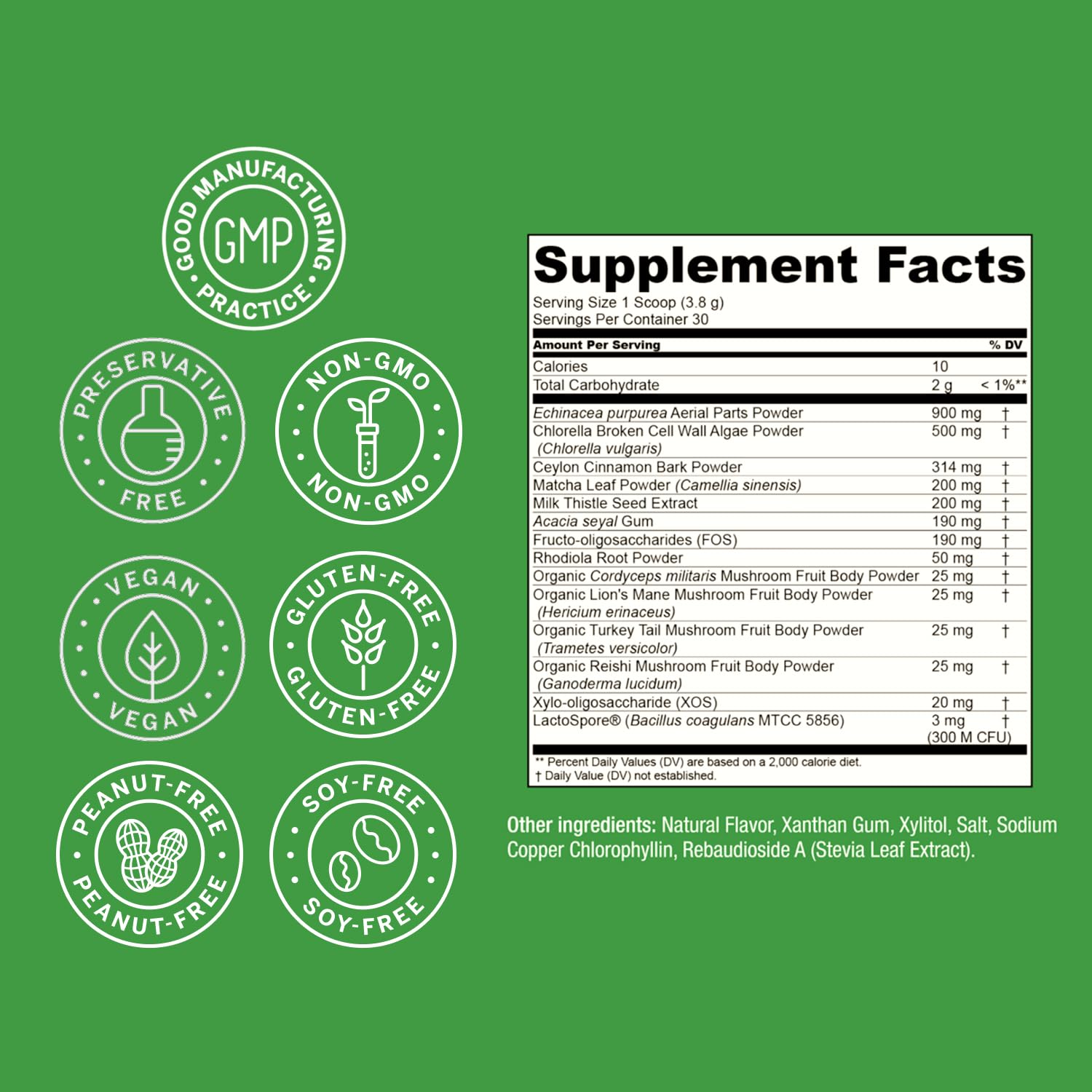 Beyond Greens Superfood Powder – Immune Support

