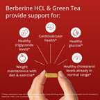 Metagenics Berberine Supplement for Metabolic Support

