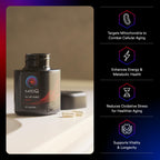 MitoQ Pure Advanced Mitochondria Supplement | Energy

