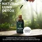 Betterbrand Mullein Drops for Lung Detox - Alcohol-Free

