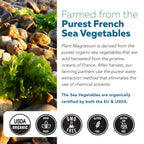 Organic Whole Food Magnesium - Sea Vegetable Complex

