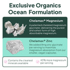 Organics Ocean Magnesium Glycinate with Zinc | Sleep Support

