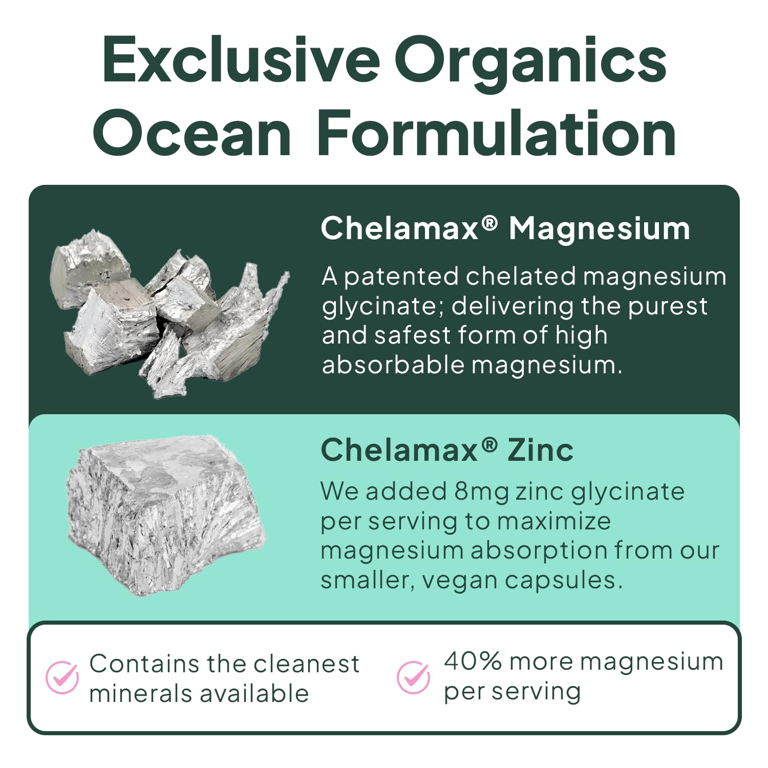 Organics Ocean Magnesium Glycinate with Zinc | Sleep Support

