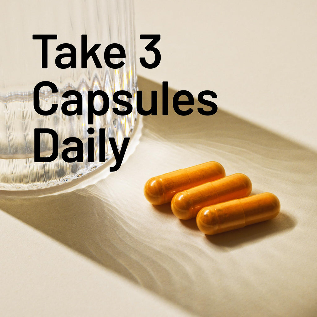 NatureWise Turmeric Curcumin + Ginger Supplement - Vegan

