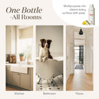 Young Living Thieves Household Cleaner – Natural All-Purpose

