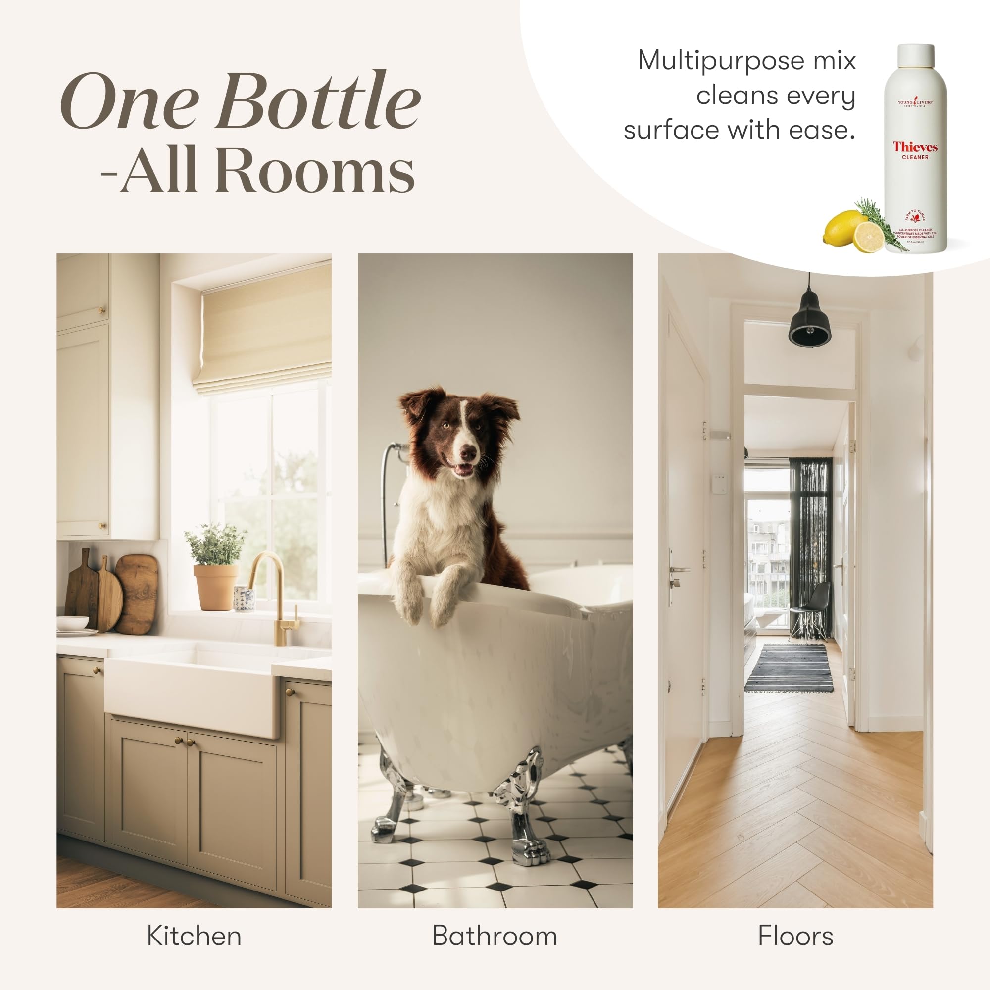Young Living Thieves Household Cleaner – Natural All-Purpose

