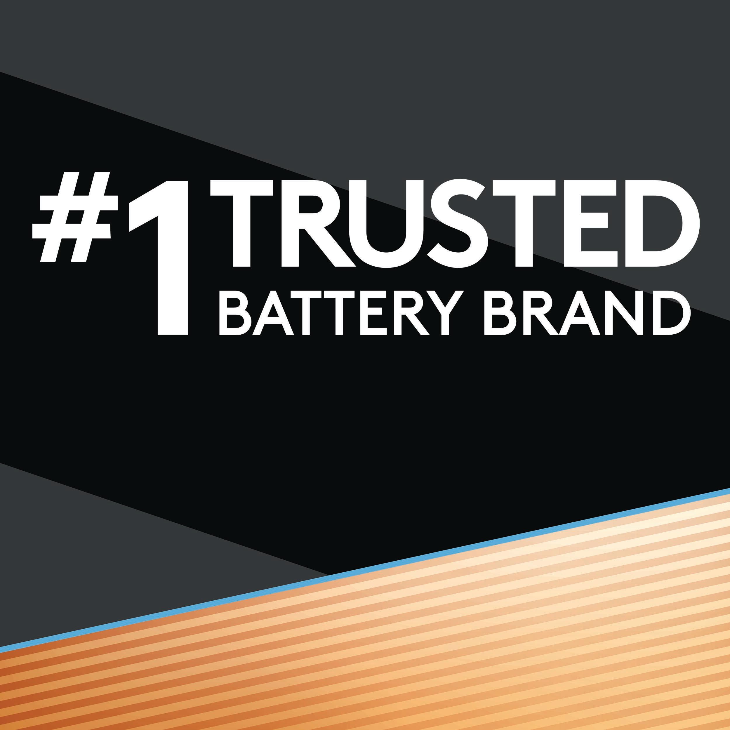 Duracell Optimum Alkaline Batteries Power Boost


