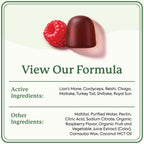 Plant People Mushroom Gummies WonderDay Immune & Mood Support

