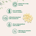Vitamin Complex Coconut Oil Softgels by Micro Ingredients

