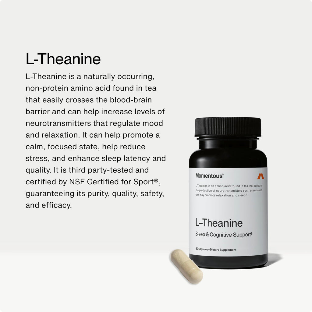 Momentous L-Theanine Supplement – Relaxation and Focus

