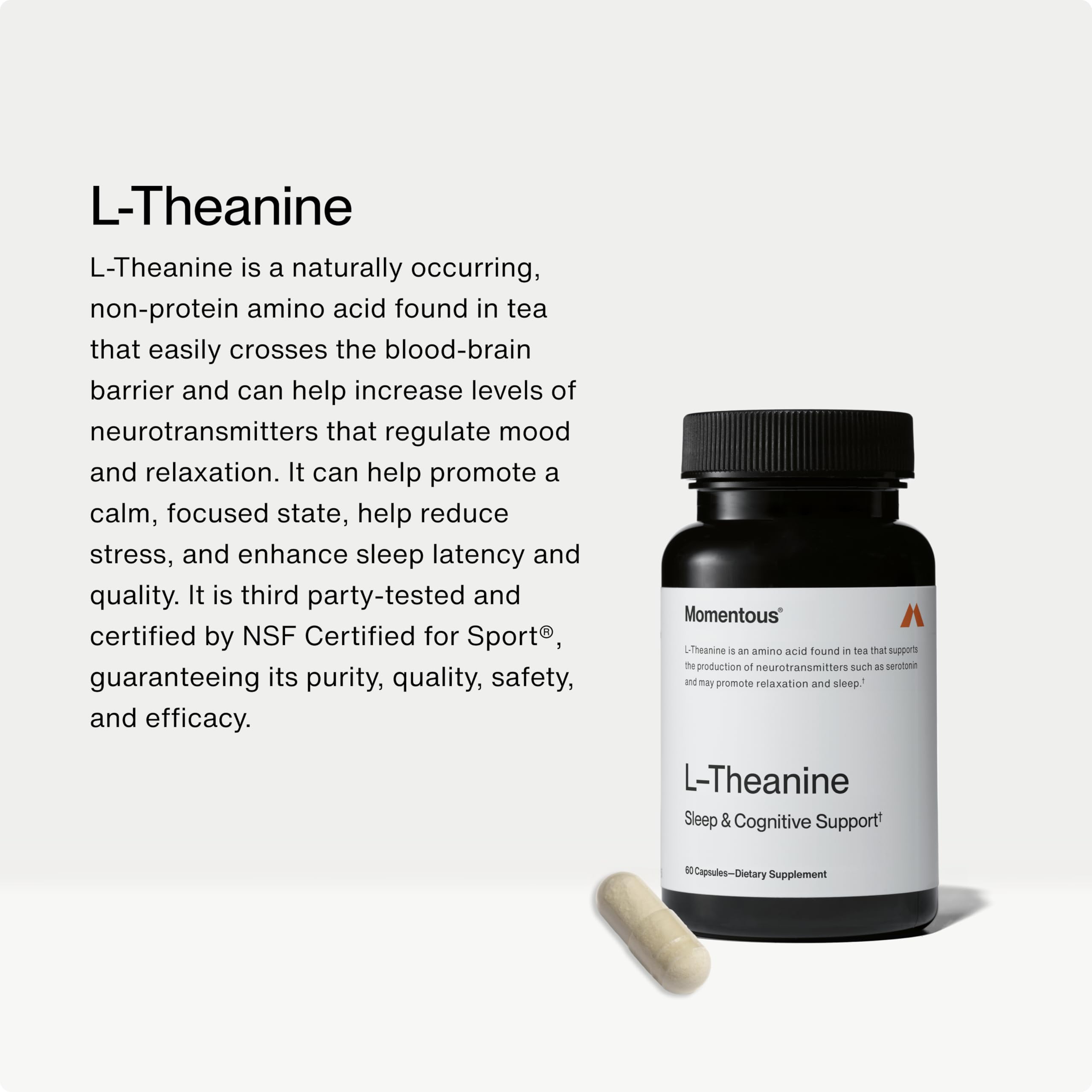 Momentous L-Theanine Supplement – Relaxation and Focus

