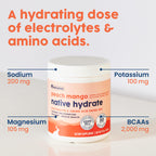 NativePath Hydrate Electrolyte Powder – Zero Sugar Drink Mix

