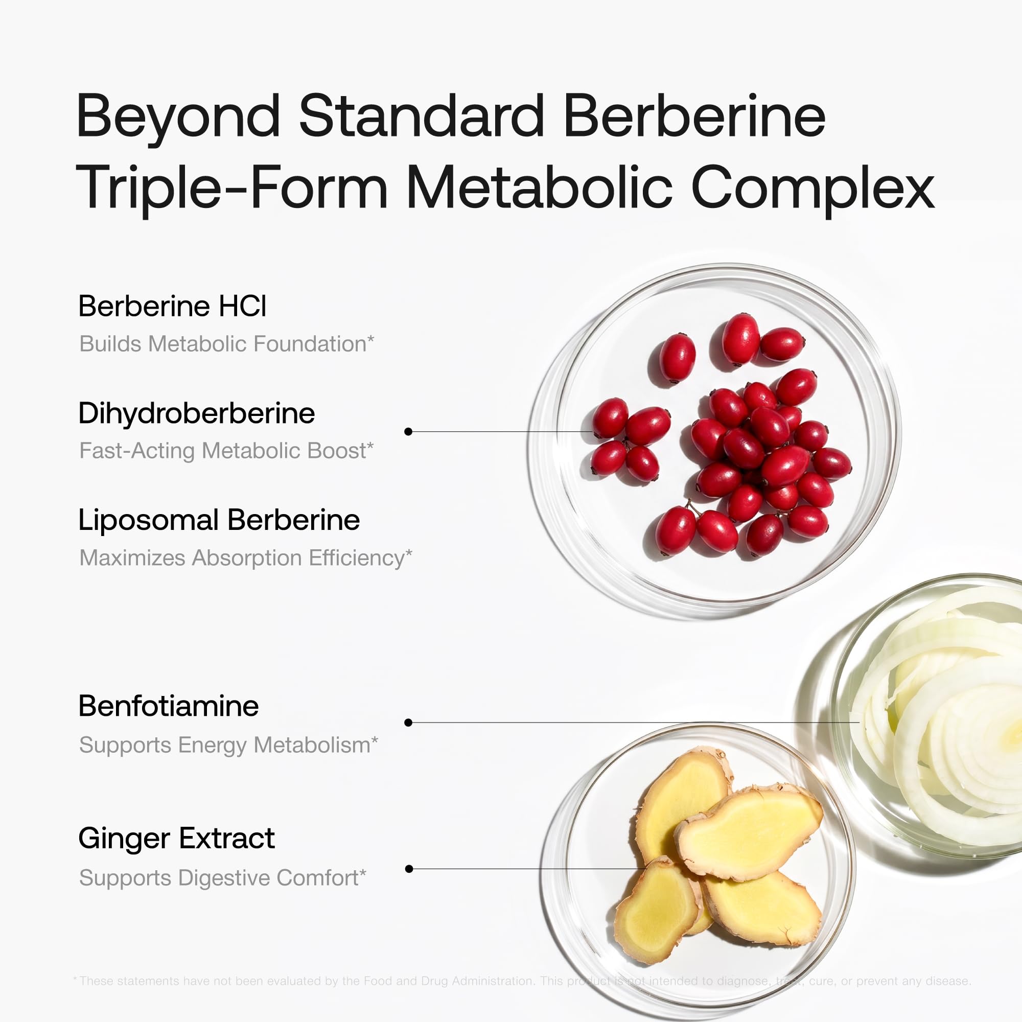 OLENPHOGY TriPhasic Berberine: Liposomal Dihydroberberine

