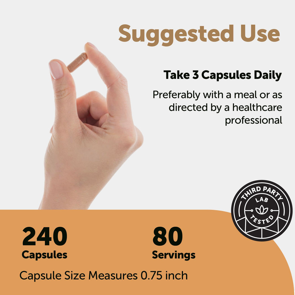 Nattokinase Enzyme Supplement by Micro Ingredients

