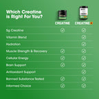 Optimum Nutrition Creatine Monohydrate Powder | Electrolytes

