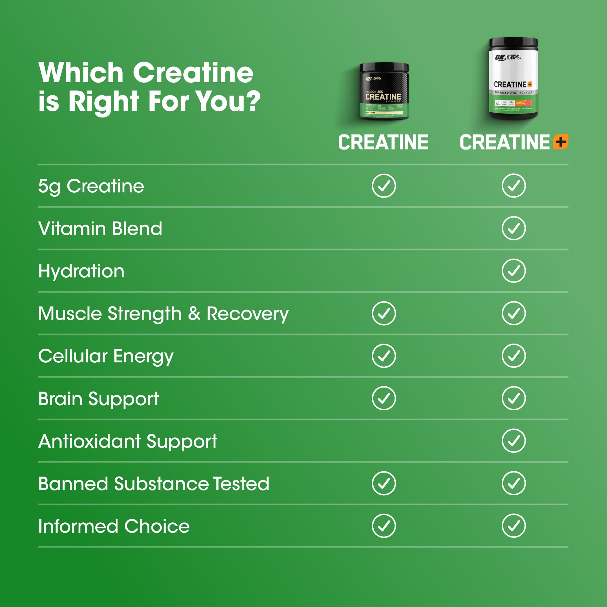 Optimum Nutrition Creatine Monohydrate Powder | Electrolytes

