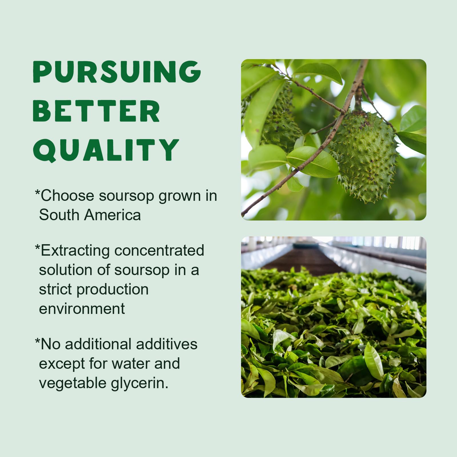 Organic Soursop Graviola Liquid Drops for Immune Support

