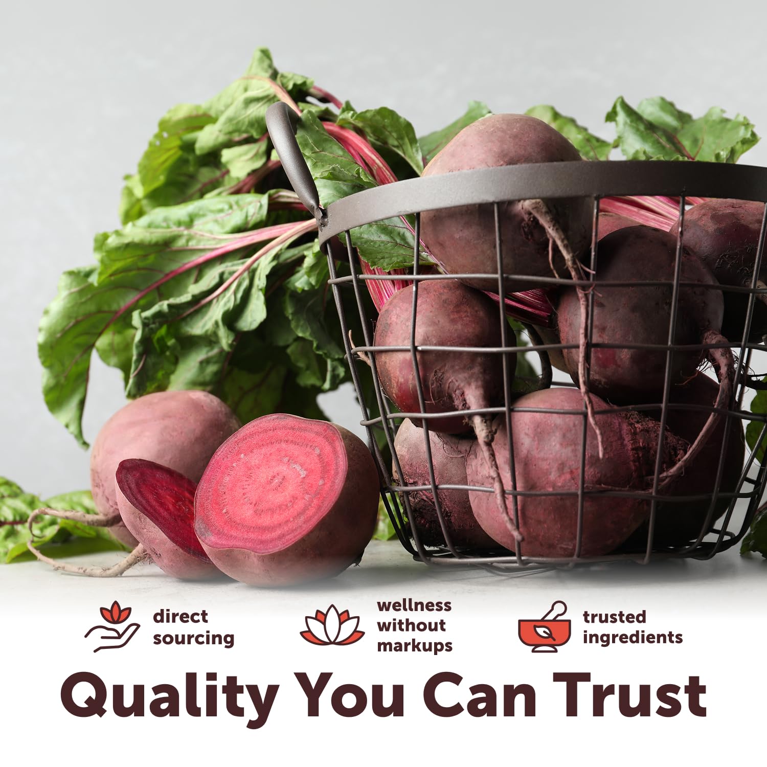 Beet Root Juice Powder - Micro Ingredients Organic

