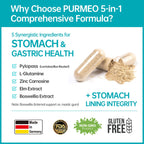 H. pylori Probiotic with Pylopass DSM17648

